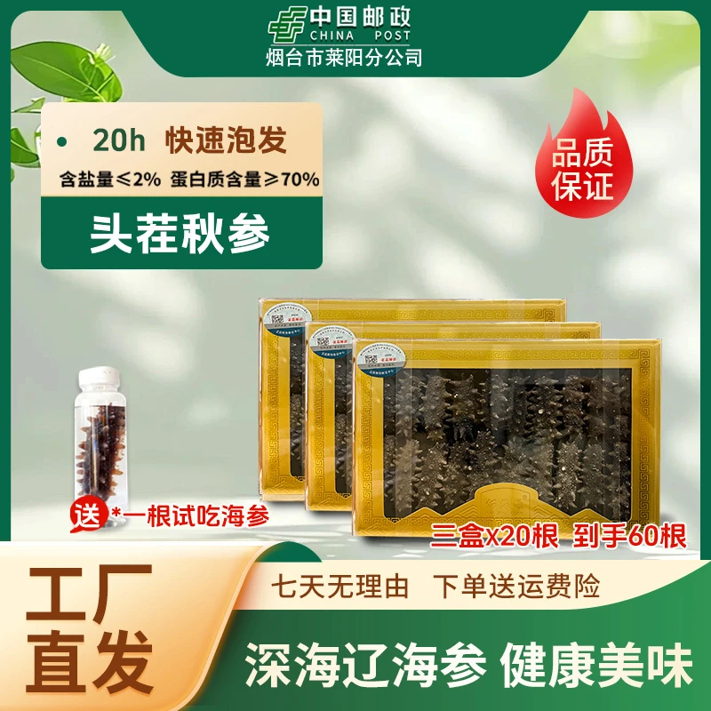 【烟台邮政】干海参60头辽刺参大连海刺参滋补营养免煮10