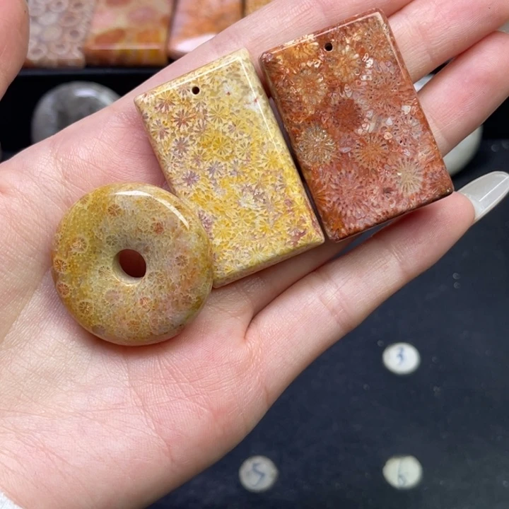 未镶嵌吊坠硅化珊瑚（珊瑚玉）