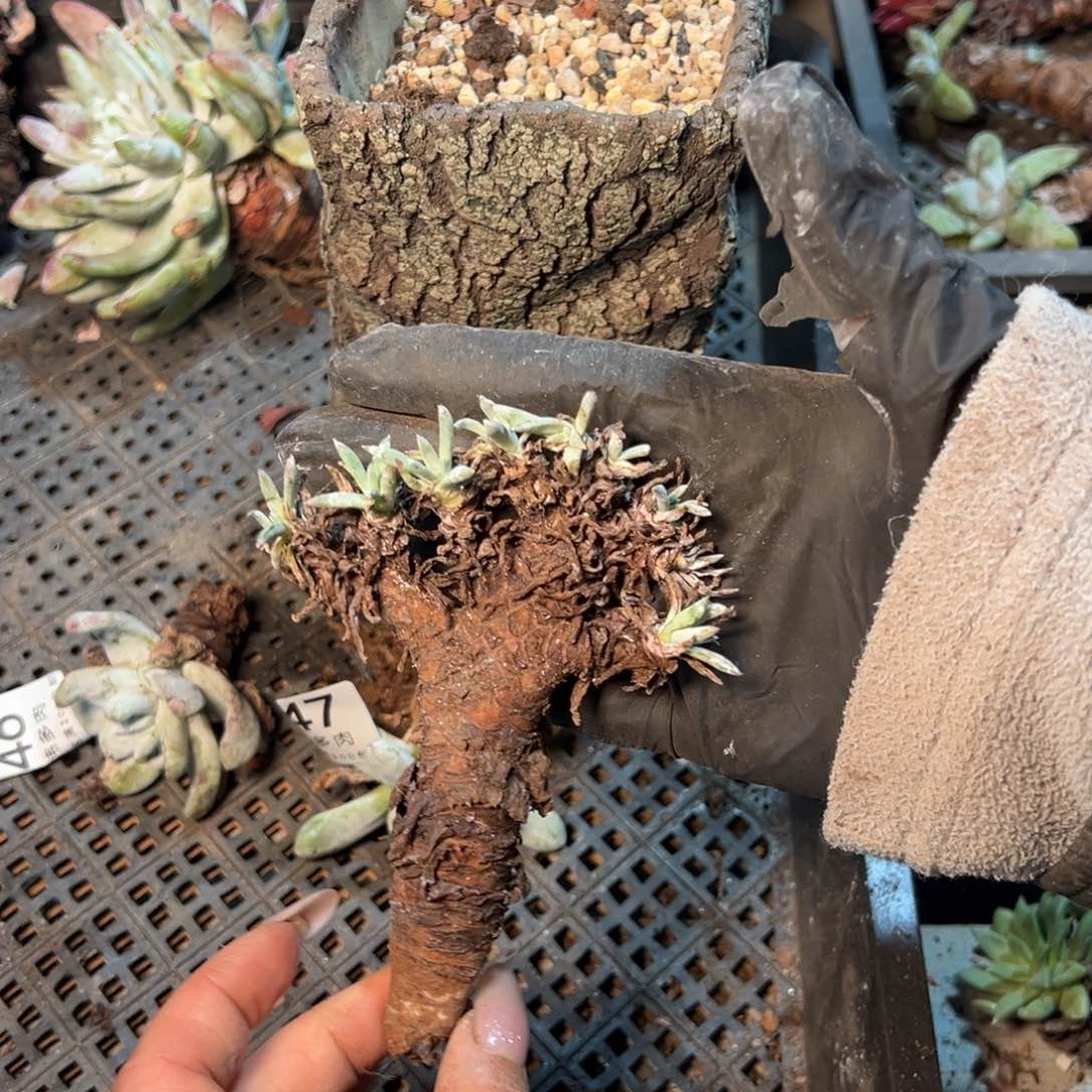 348哈哈哈哈哈哈哈