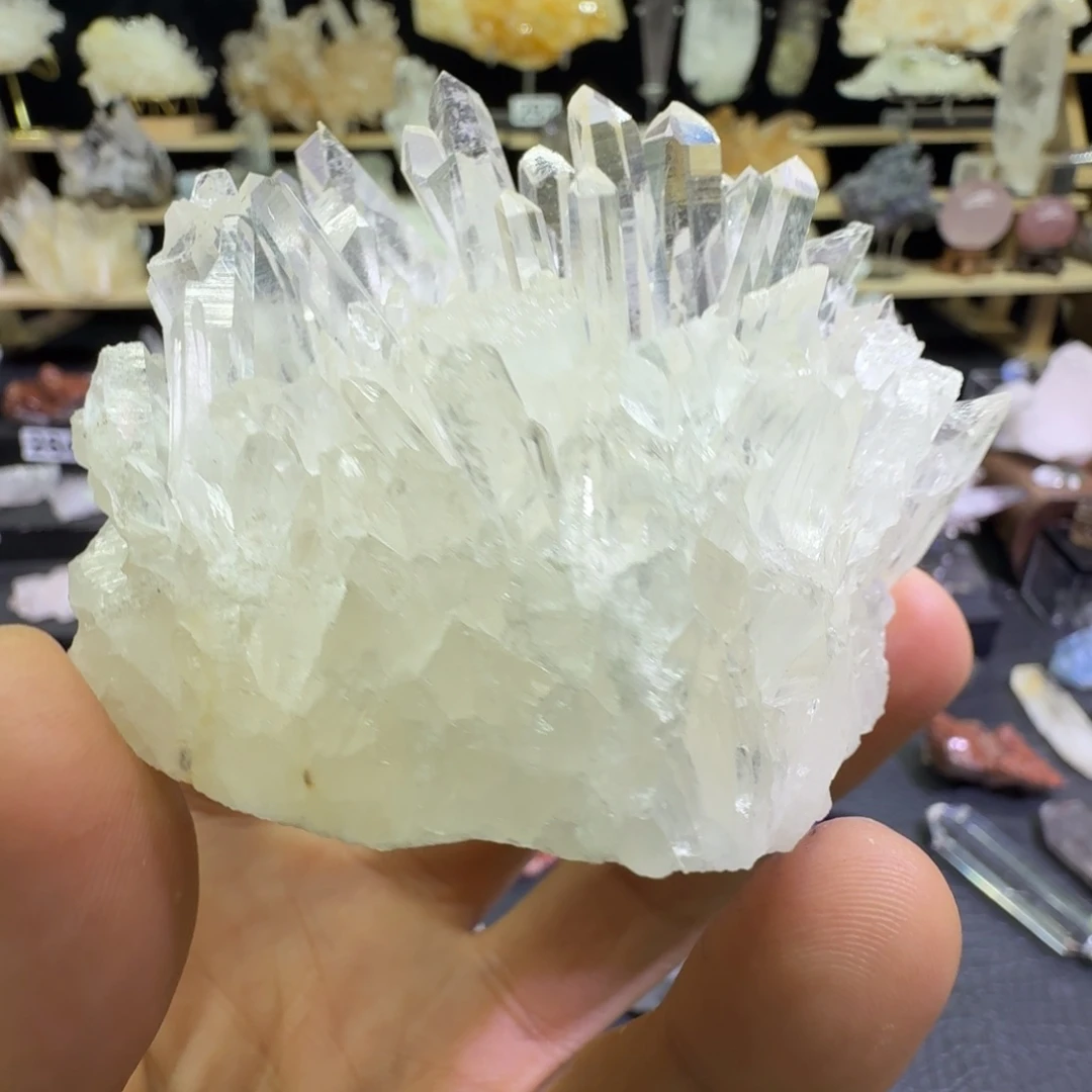 石材缅甸菊花晶（有损）
