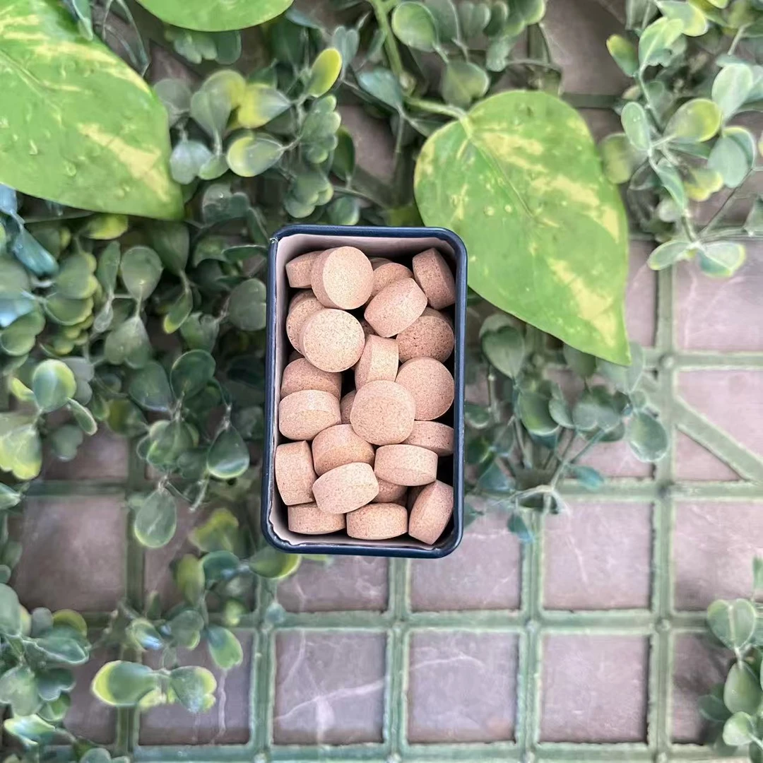 雨腾古茶  无字版白Z珠“GD”YW片100粒/盒（12月22）