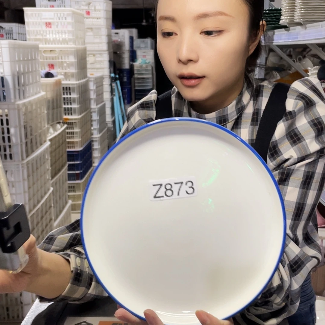 瓷片873               2个