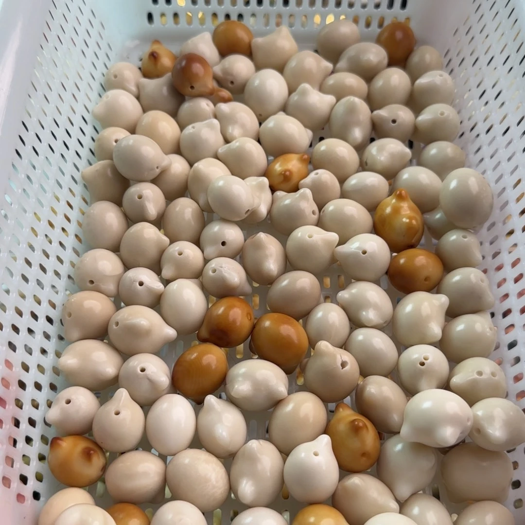 菩提根/象牙果吊坠瑕疵牙果猫头10颗孔道裂