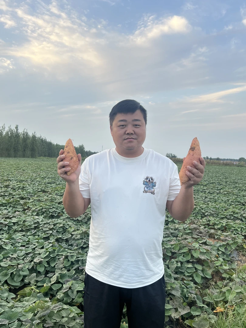 【村干助农】正宗烟薯25 新鲜沙地糖心软糯流油超甜地瓜 净重五斤