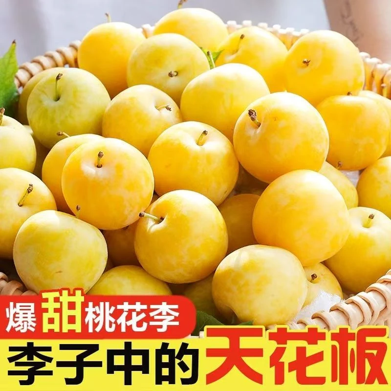 【 稀有品种 】正宗四川汉源桃花李冰糖李 软李 2/3/5斤装 果园直邮
