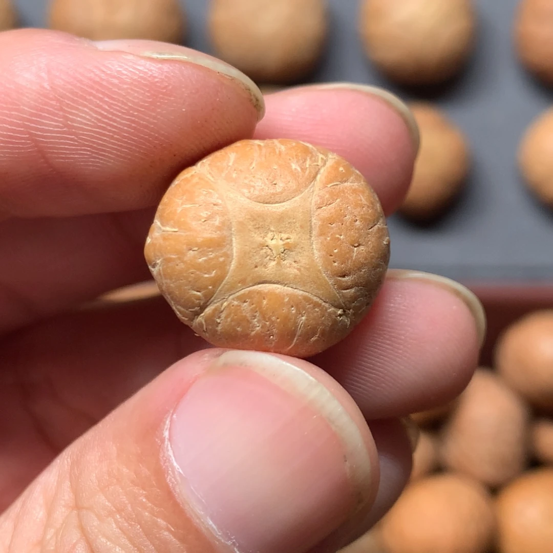 凤眼菩提吊坠18.5mm尼泊尔麒麟，打孔直播间和我说