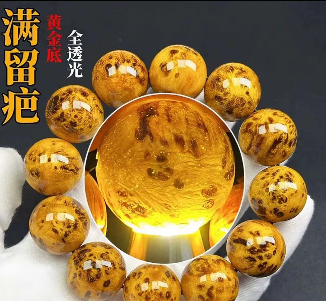 TR 2.0 高端瘤疤松木单圈手串【634】