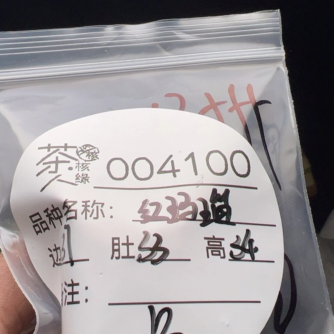 吊坠文玩核桃今天