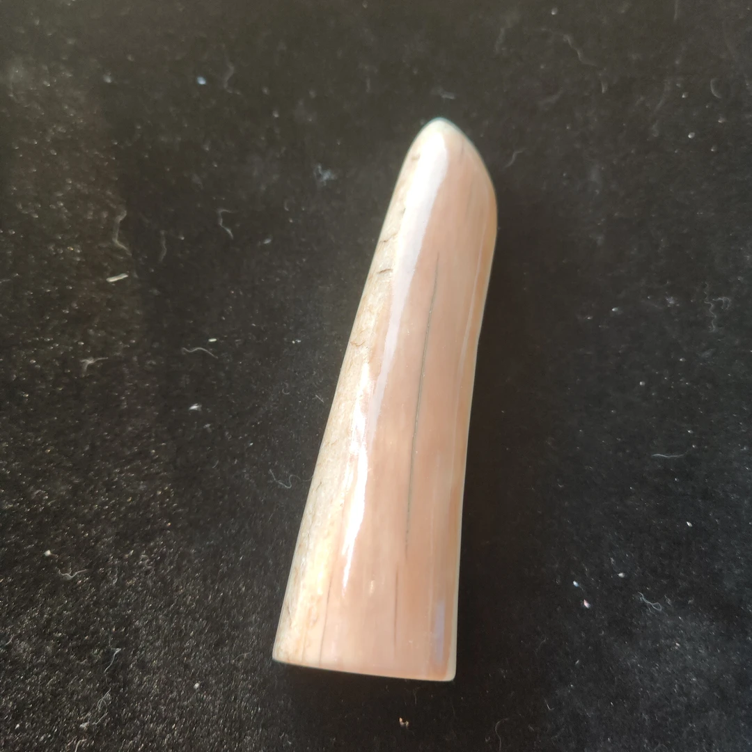 猛犸猛犸虬尖子WW837