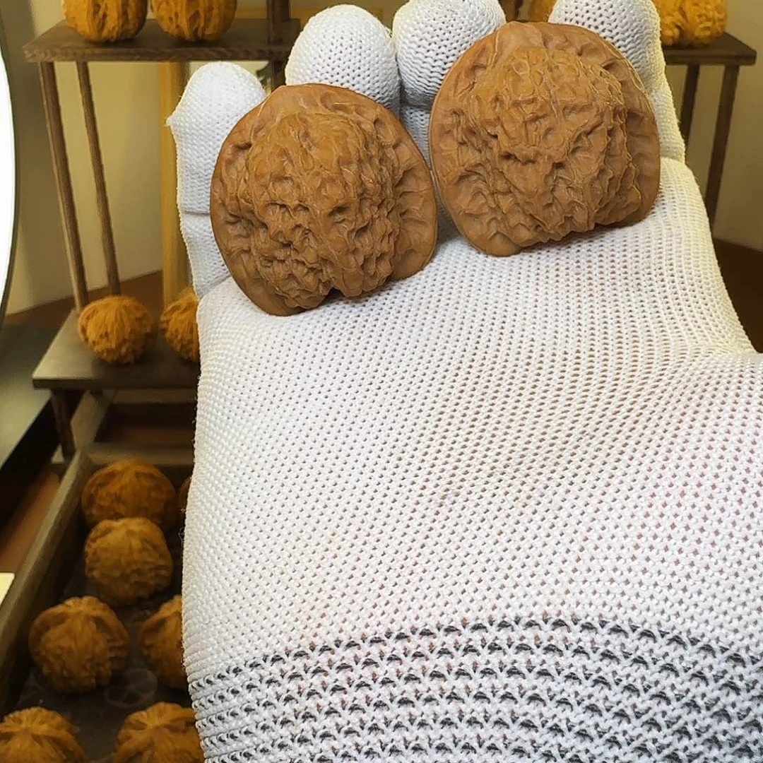 吊坠文玩核桃36全品血麒麟