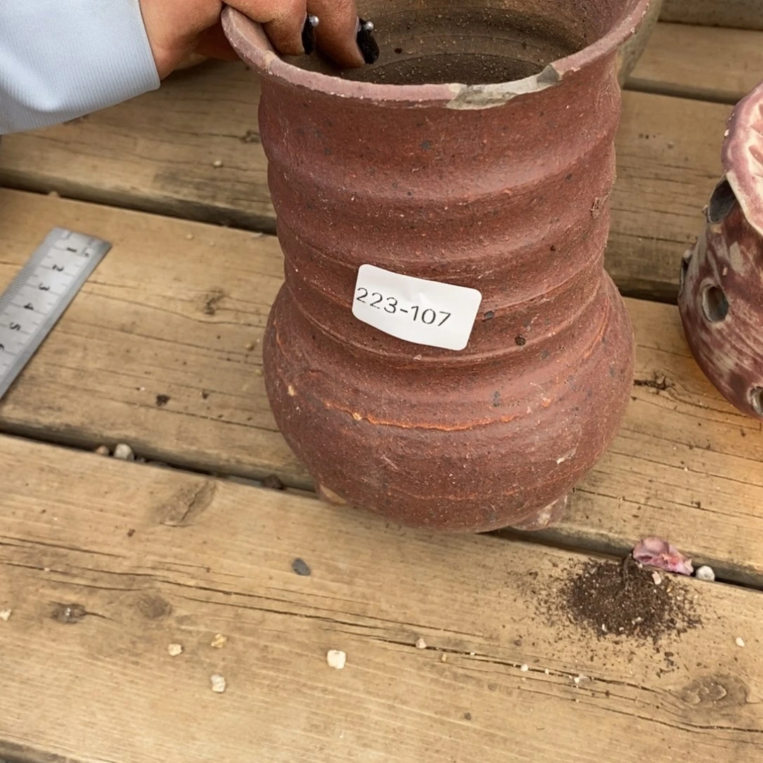 红陶t*107号的花盆微瑕