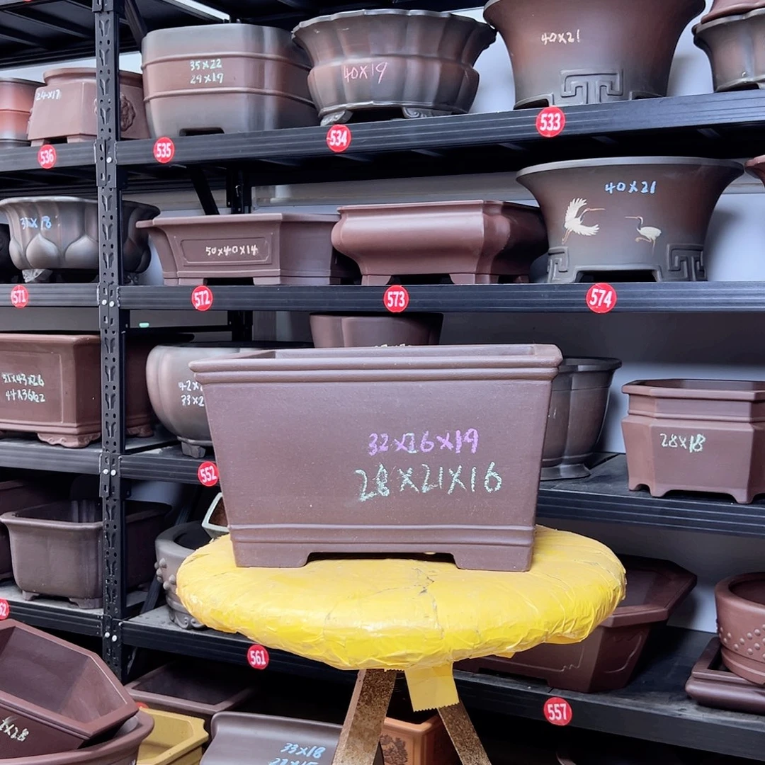 紫砂其他呜呜呜呜