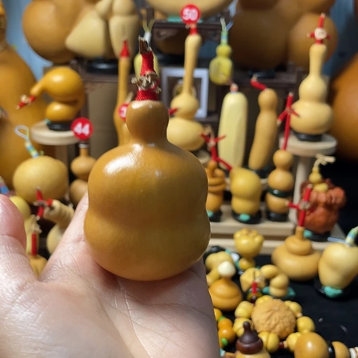紫***菱葫芦丝老师在讲英语