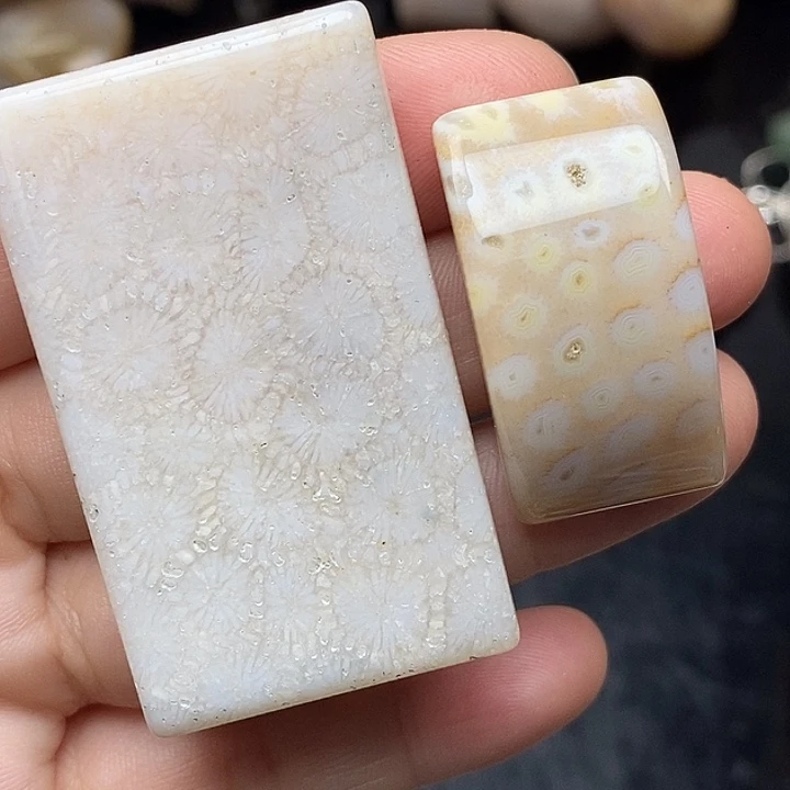 硅化玉未镶嵌颈饰