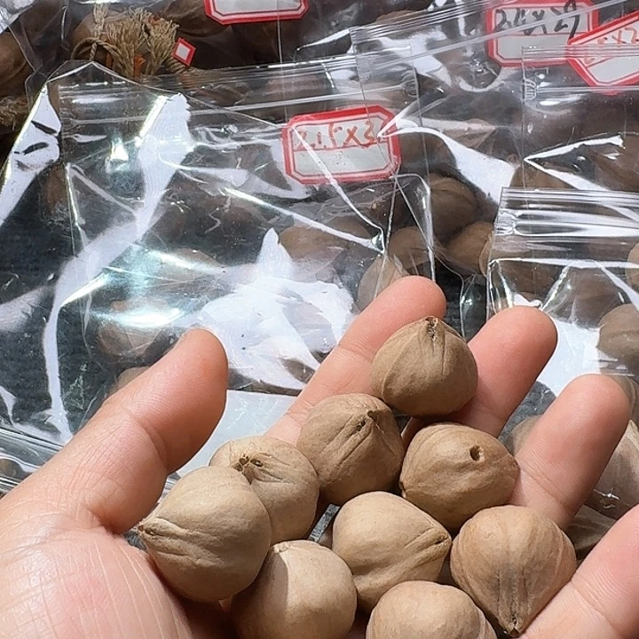 吊坠橄榄核你*2.4❌2.5