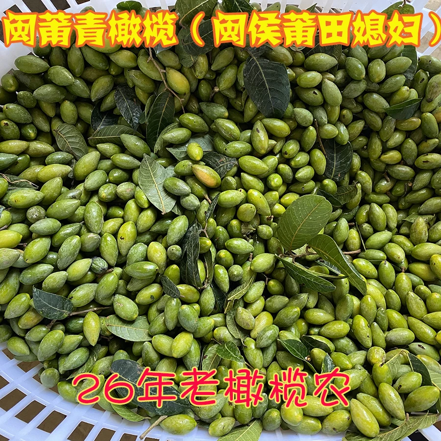 【闽莆青橄榄3斤装】农家二号橄榄现摘原味新鲜橄榄檀香榄水果青果