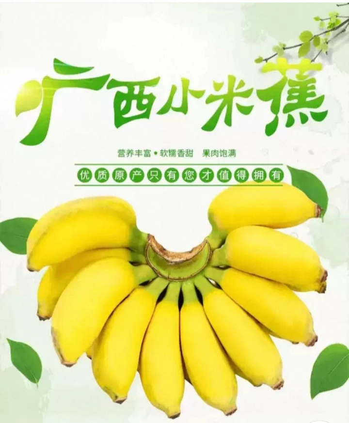 广西绿皮香蕉自然熟香甜软糯新鲜水果当季现摘
