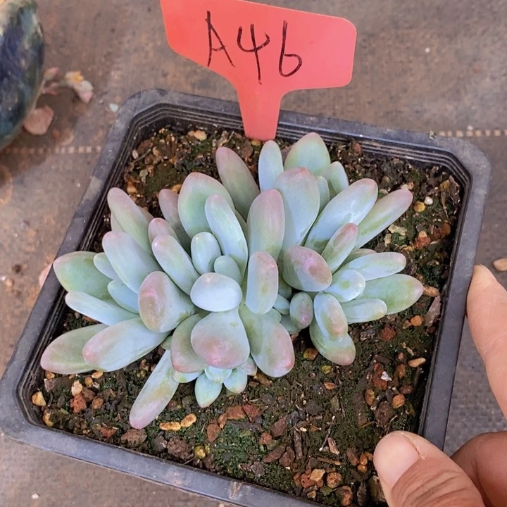 若*这个点睡起来都会