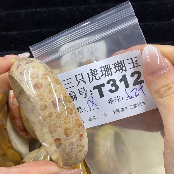 硅化珊瑚（珊瑚玉）1未镶嵌?****肉
