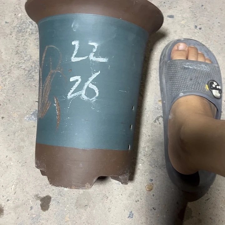 紫砂艺术学院美术