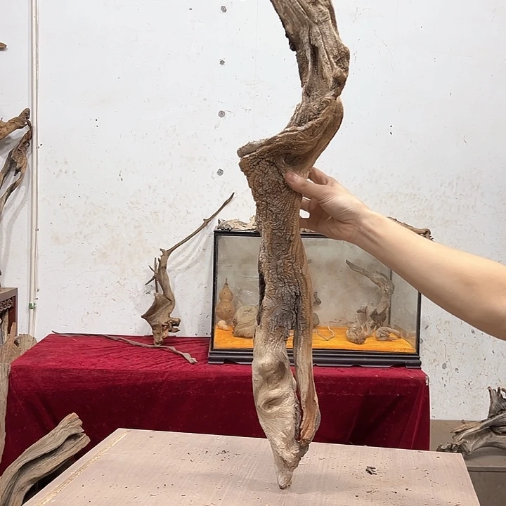柏木崖*我们都是好孩子呀我也