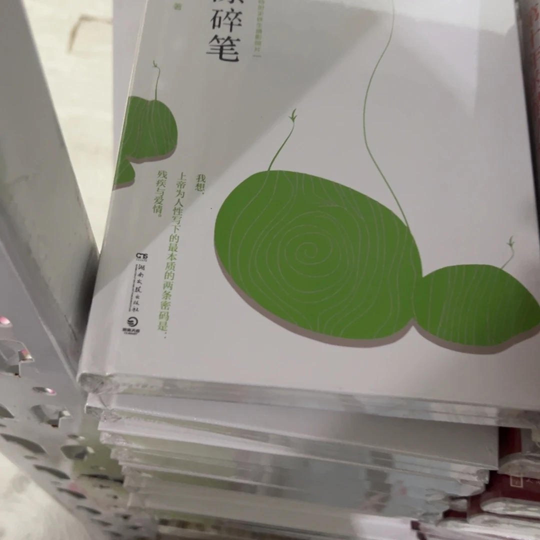 病隙碎笔精装一个