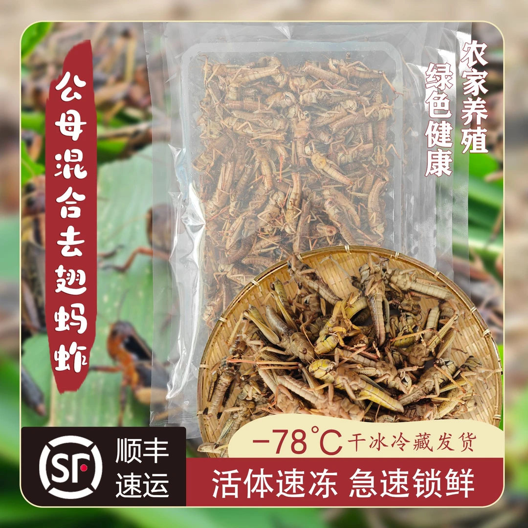 【三只蚂蚱】2斤纯母加1斤纯公生鲜特产速冻油炸蚂蚱新鲜真空包装
