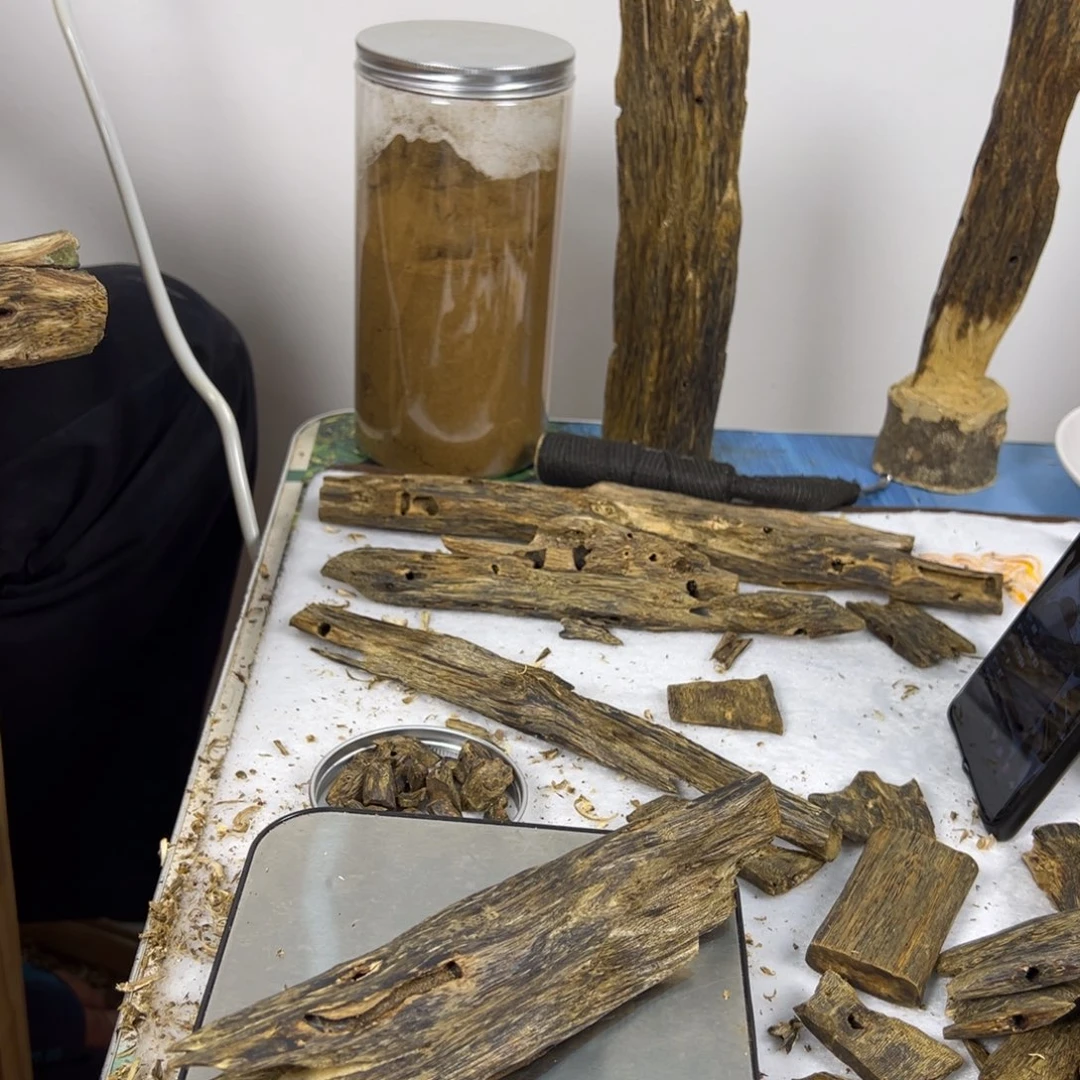 线香奇楠虫漏香92克