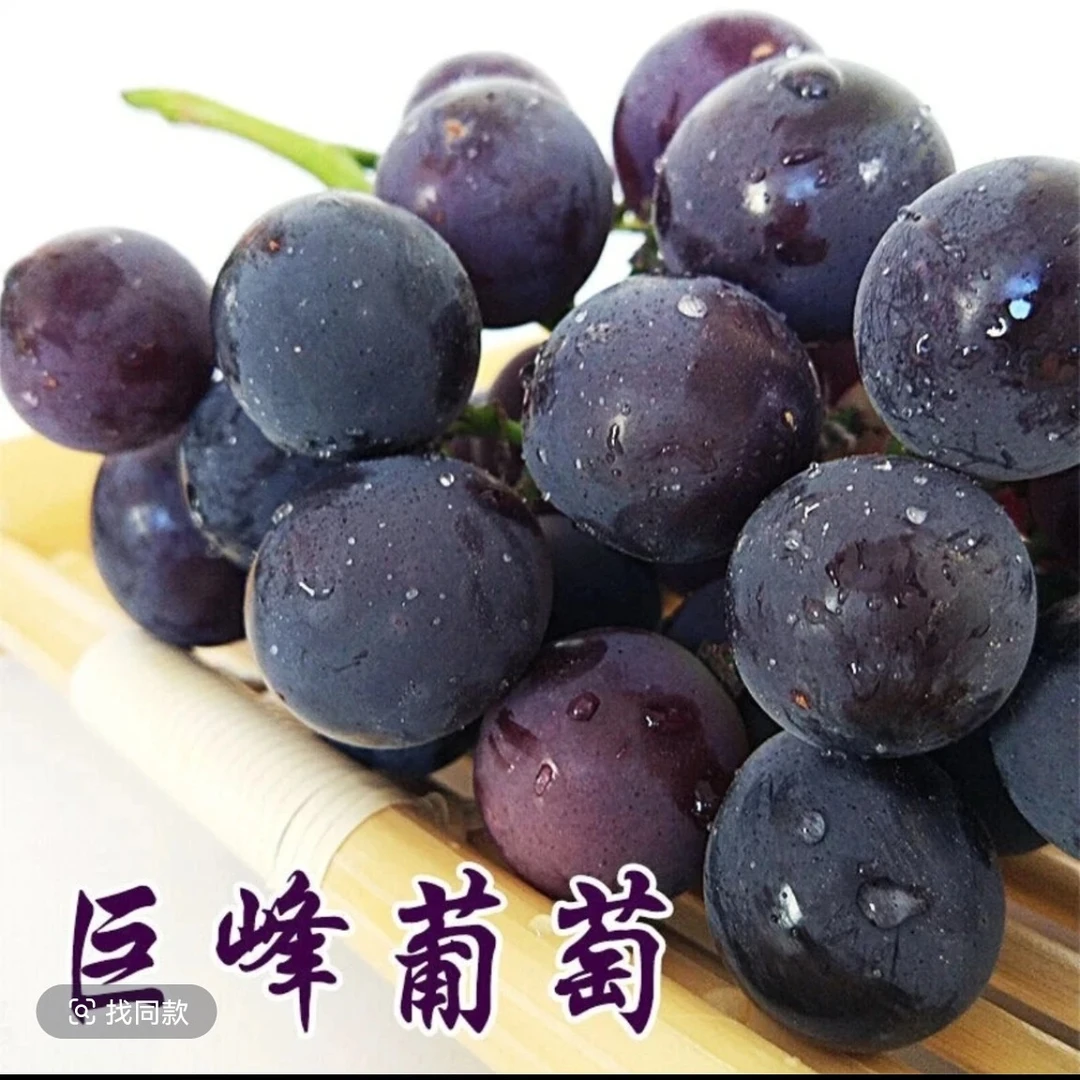 辽宁巨峰葡萄2串一份