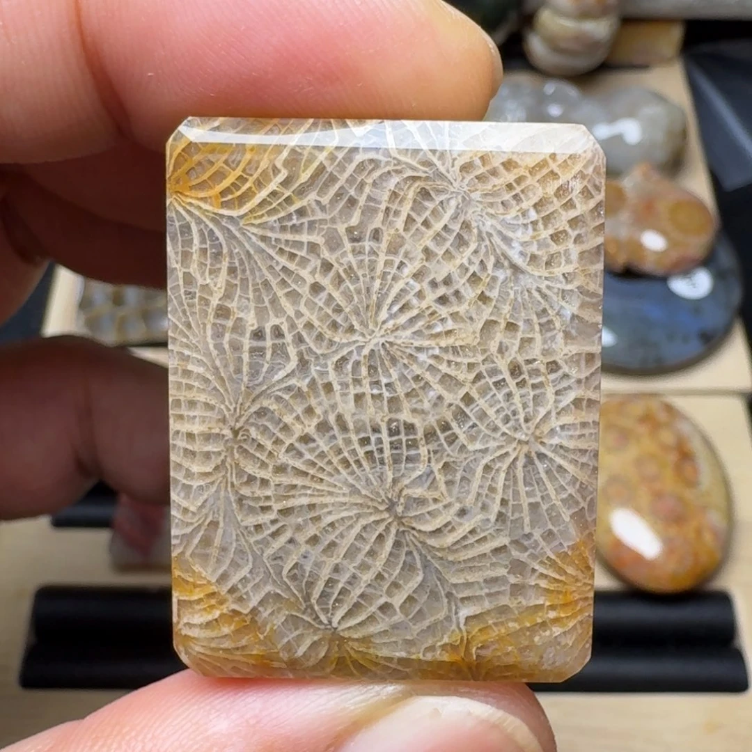 硅化玉未镶嵌纯天然色有机玉石保真色