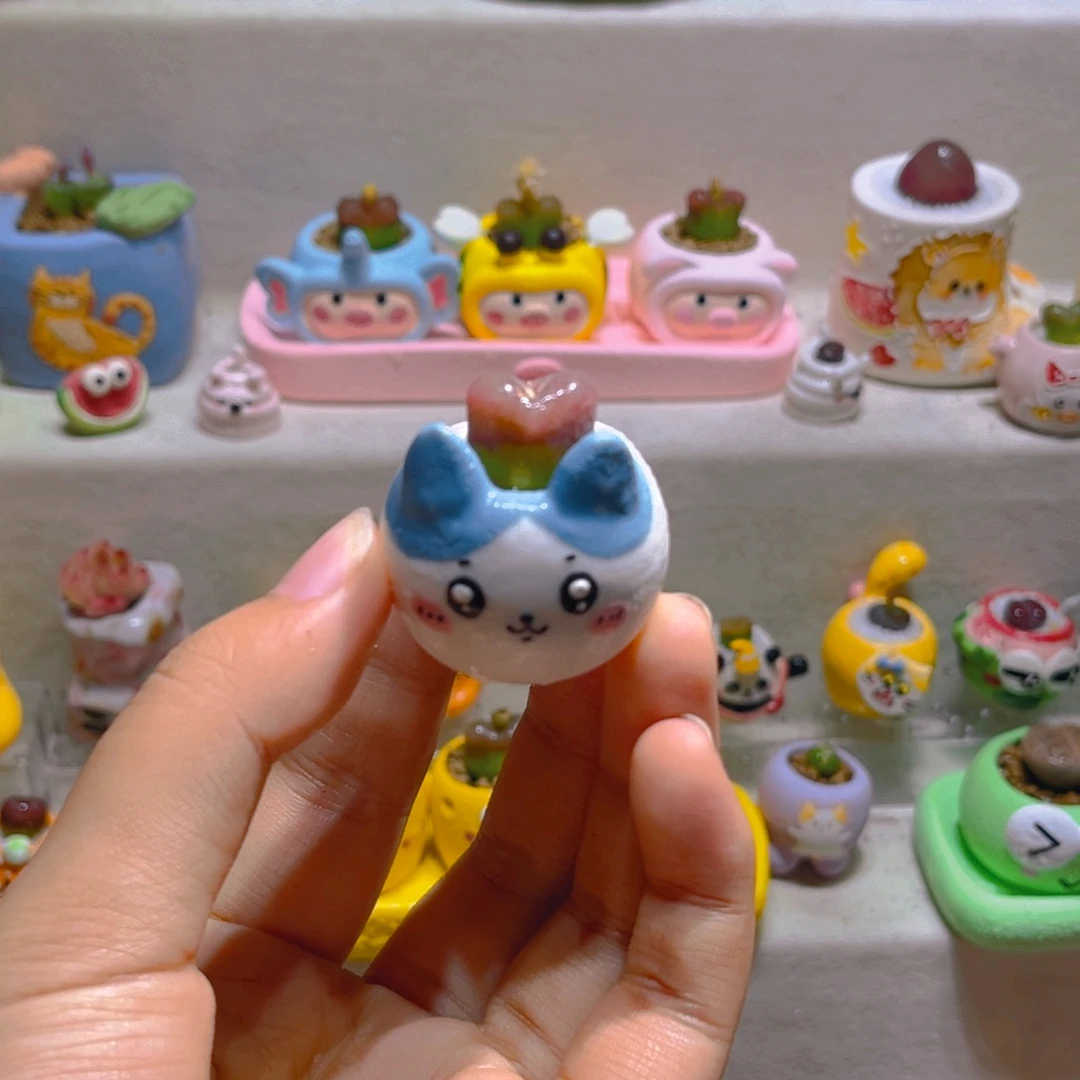 026高端多肉带盆土一套26