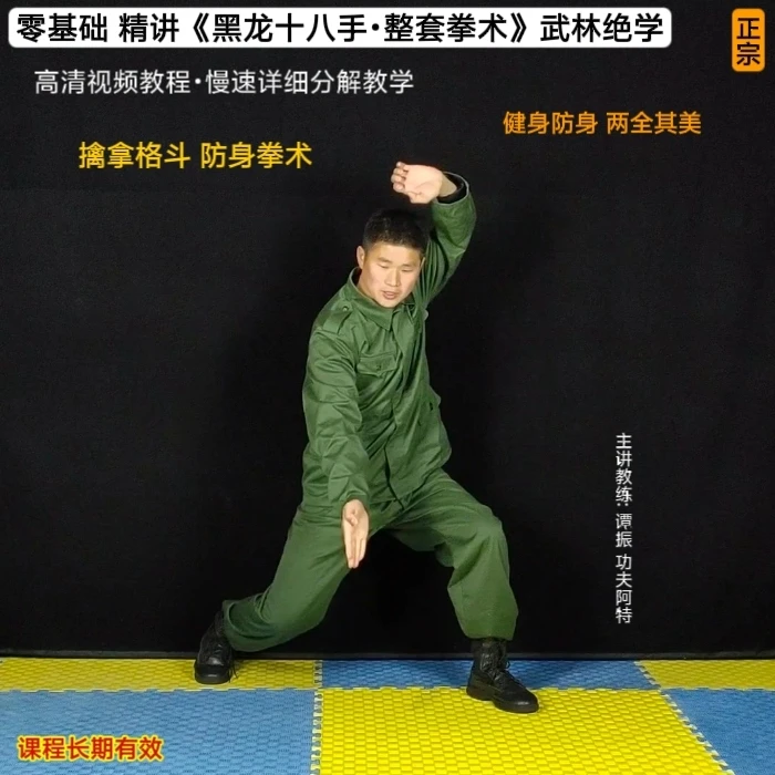 标准版《黑龙十八手•整套拳术 》详细分解教学 防身武林绝学