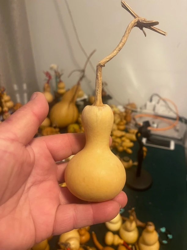 精品葫芦下单专用链接