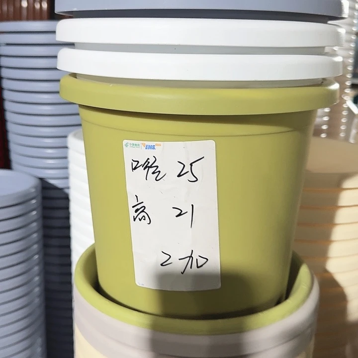 四季4号果绿无托10个特价微瑕
