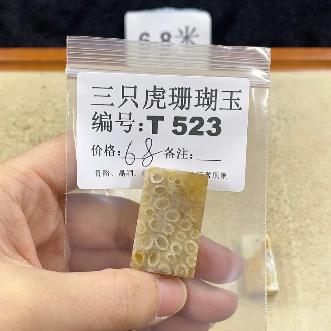 硅化珊瑚（珊瑚玉）1未镶嵌秦*