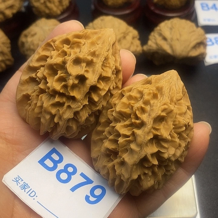 核桃老鼠4,2，高56，克重60