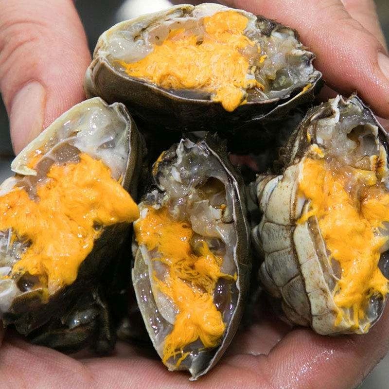 【活蟹】软壳青蟹公1.7~2两/只10只顺丰包邮次日达