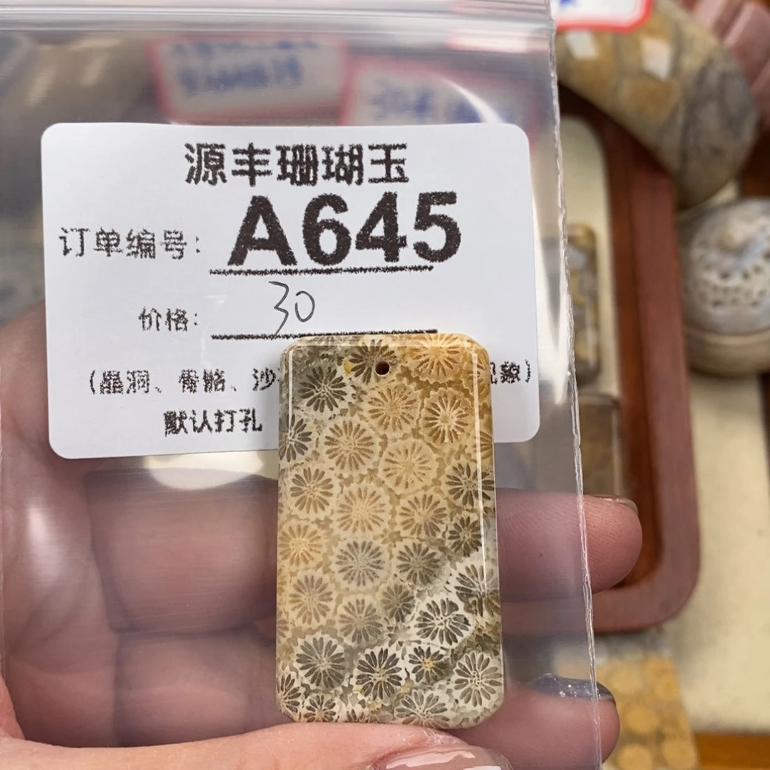 硅化玉颈饰未镶嵌浒*