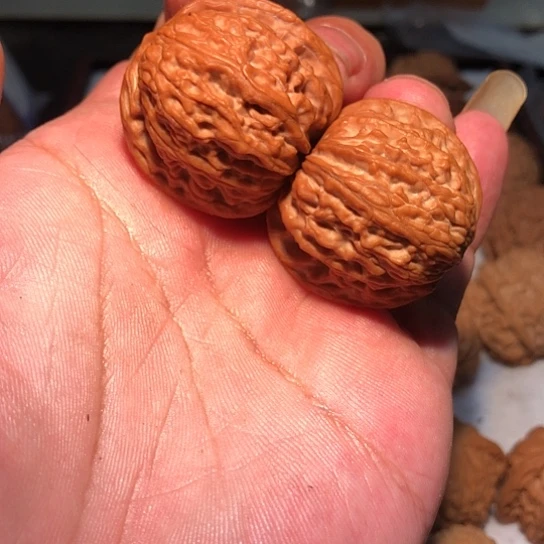 丶***有机玻璃37全品山磨盘
