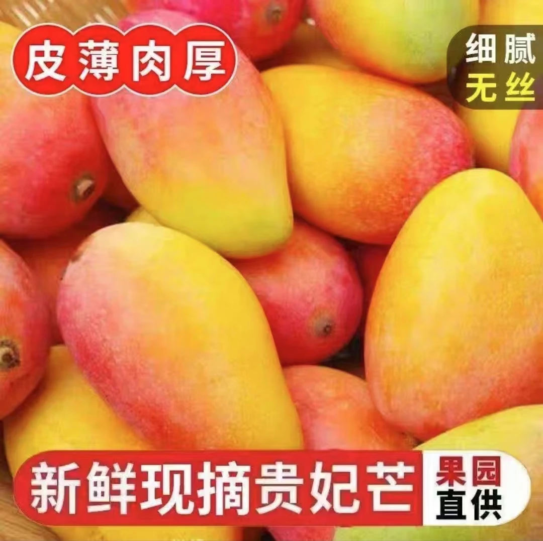 【精选果王】云南贵妃芒果新鲜现摘核薄肉厚爆甜多汁 川上农人专属