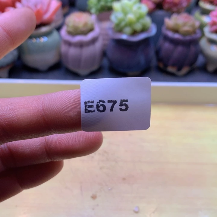 ?****?一物一拍满38包邮 E675