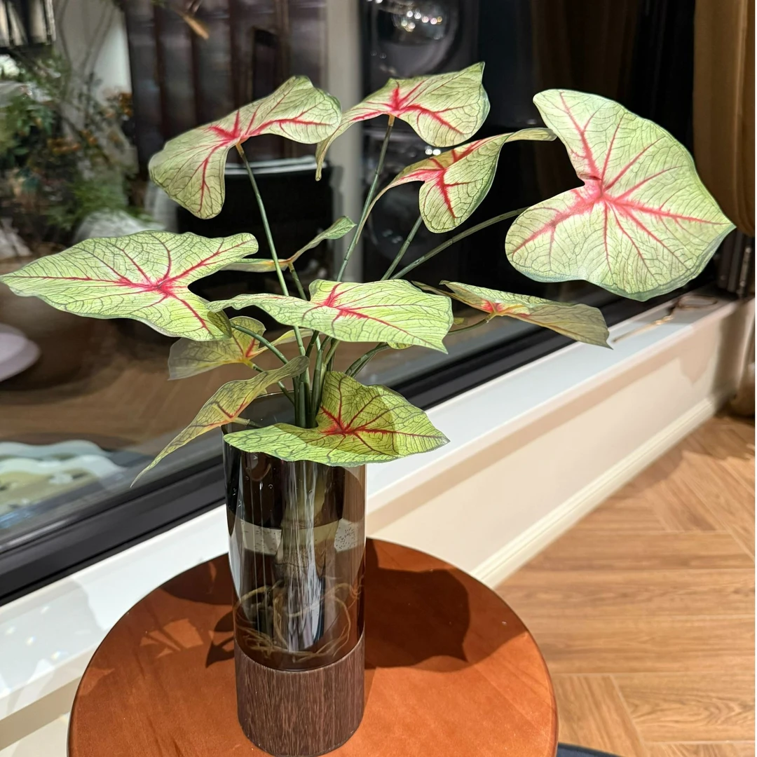 掬涵高端仿真花纹竹芋叶带根造景家居餐桌玄关装饰瓶子摆件【荐】