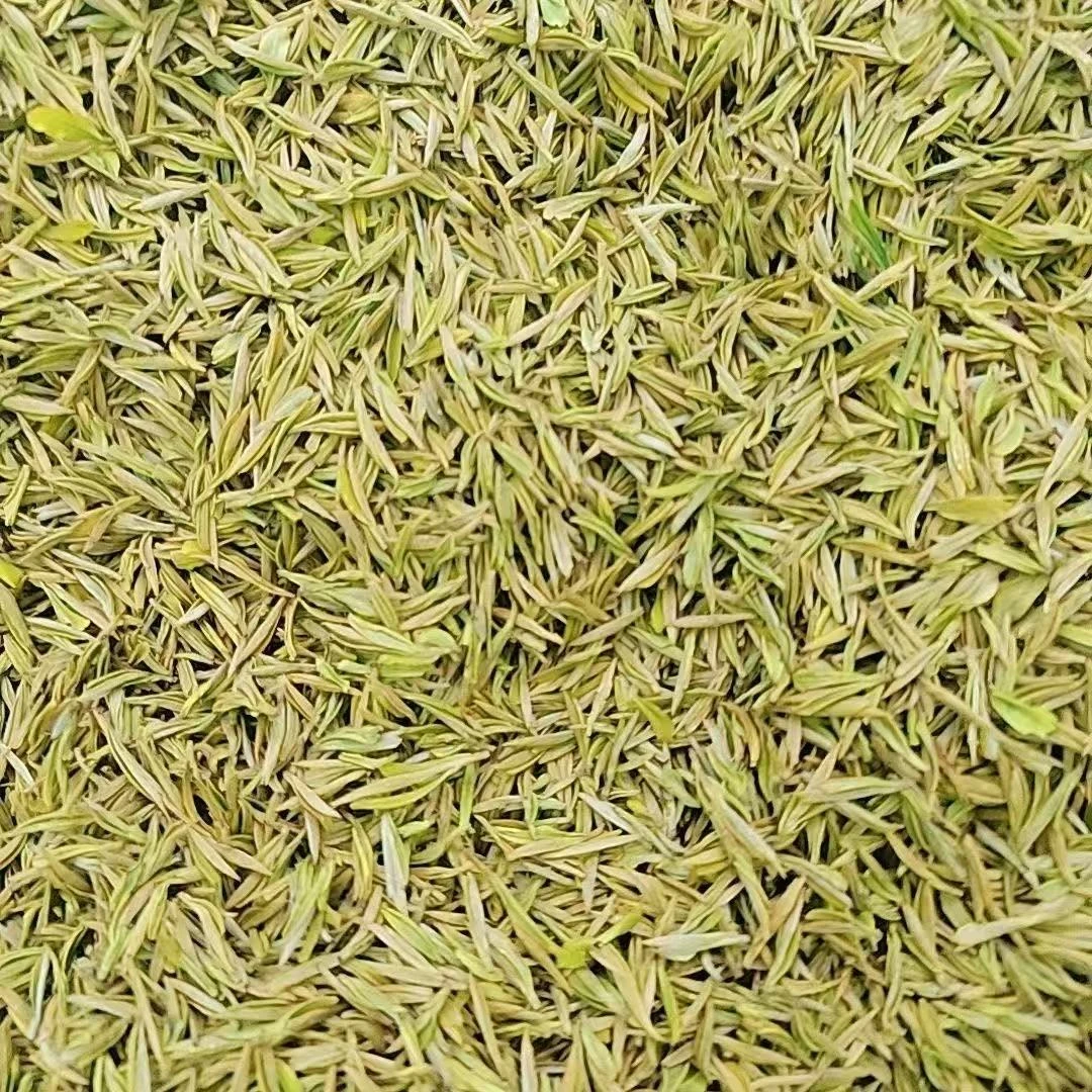 2025年新茶【头采黄金芽】安吉原产地  小芽高山 3HA 茶农批发豆香