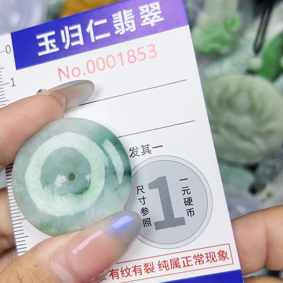 翡翠未镶嵌吊坠(不含链)111