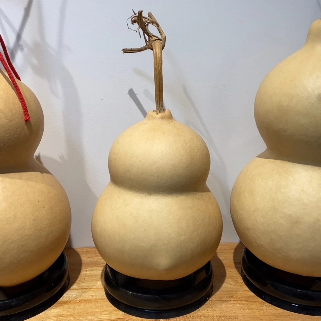 o****哈哈哈哈哈哈哈哈哈哈哈哈哈