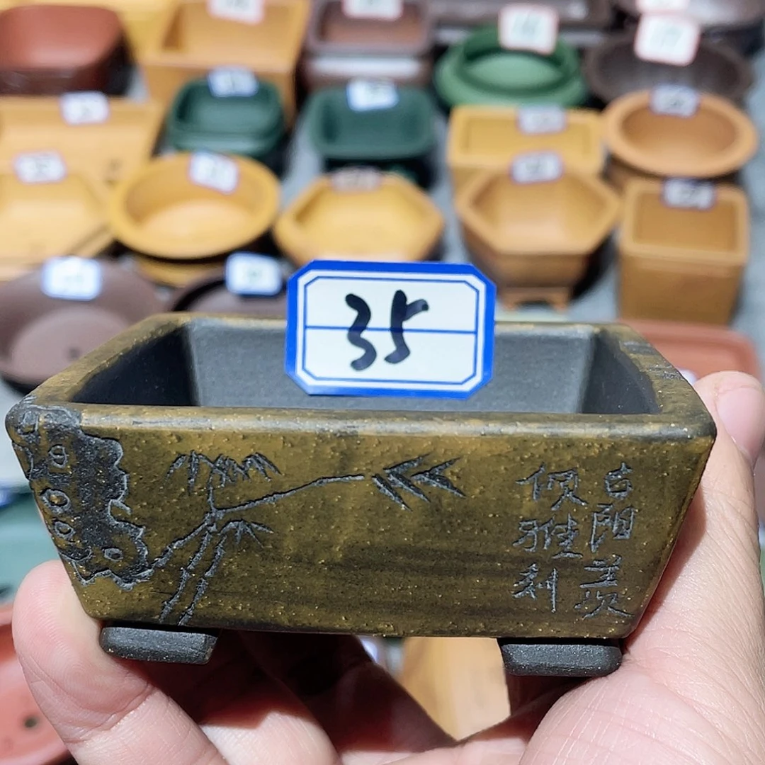 紫砂小盆8*3cmmmm