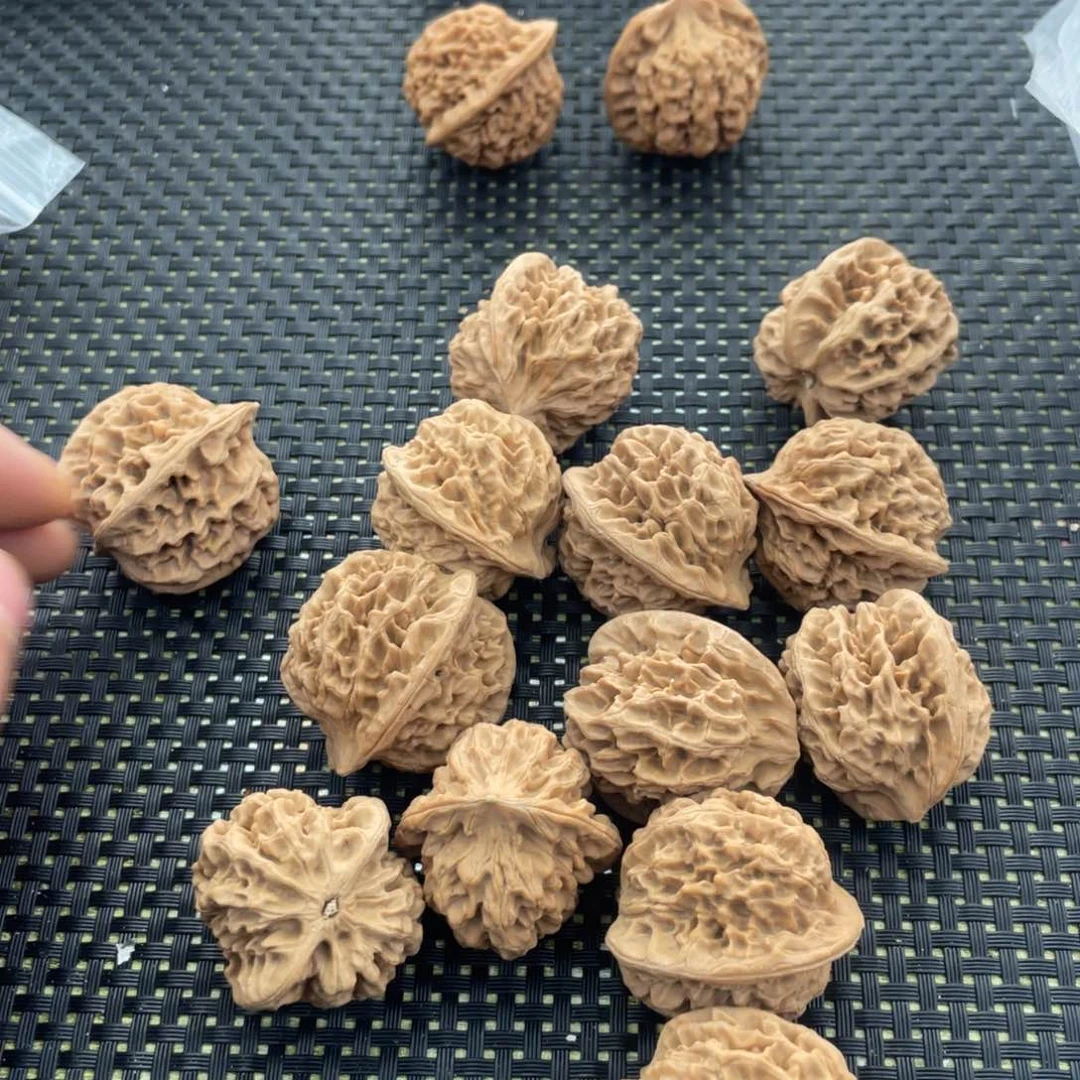 天*秦岭小王秦闷手持13颗