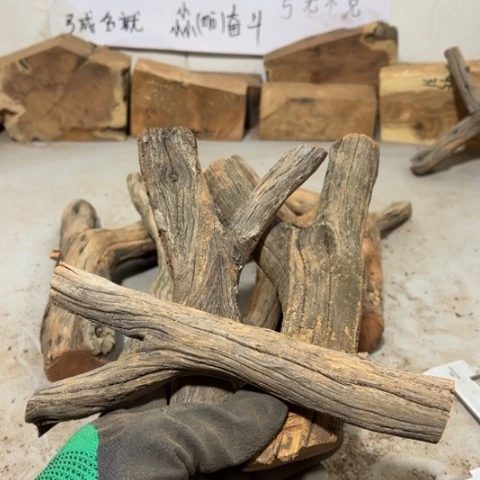 大果紫檀（缅甸花梨）尛*斗