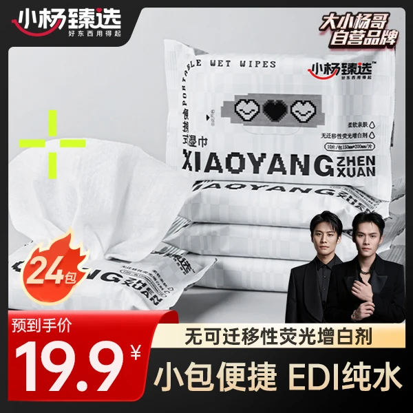 小杨臻选便携式湿巾 10片每包共24包 温和柔软清洁湿巾整箱发货