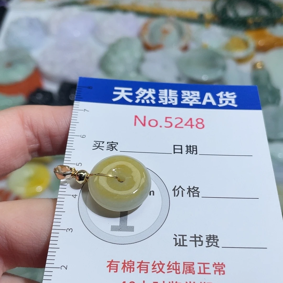 翡翠未镶嵌挂件5248